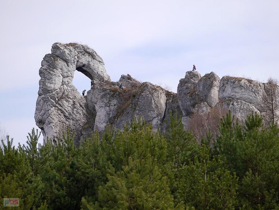 Okiennik Wielki