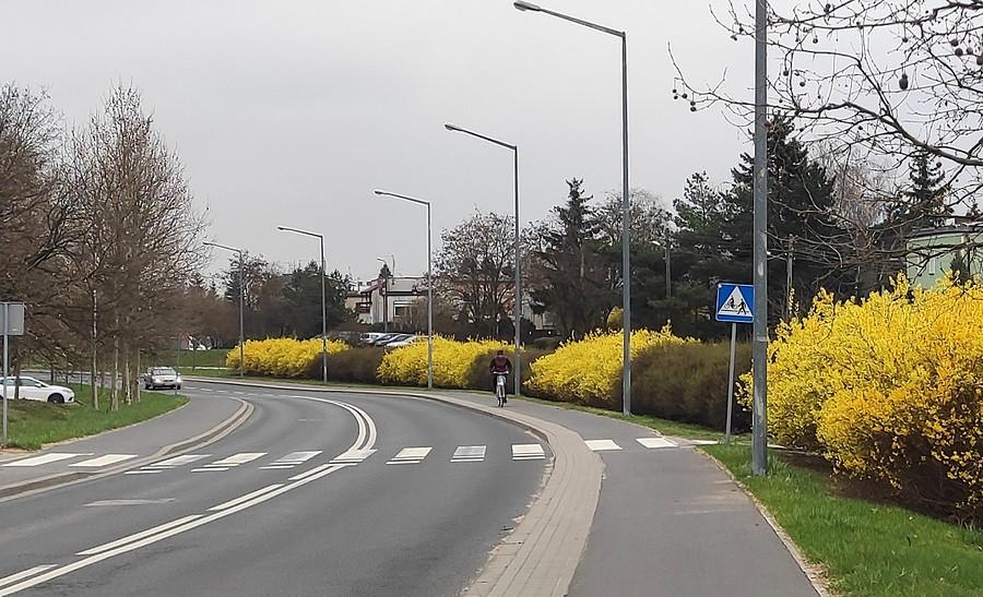 Klasyk klasyków - jednokierunkowa droga rowerowa (druga jest część po lewej) i miłośnik jazdy pod prąd, Poznań