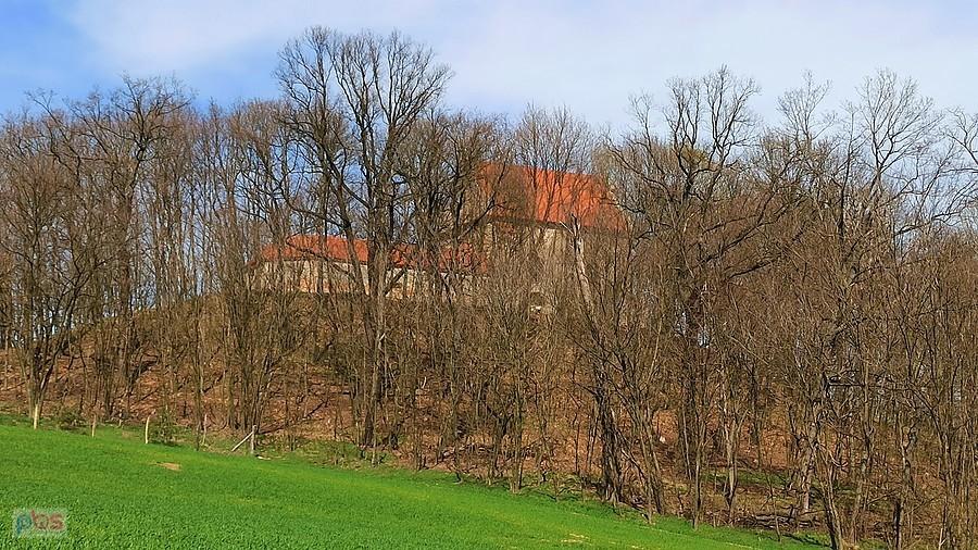 Kaplica św. Anny w Dalkowskich Wzgórzach
