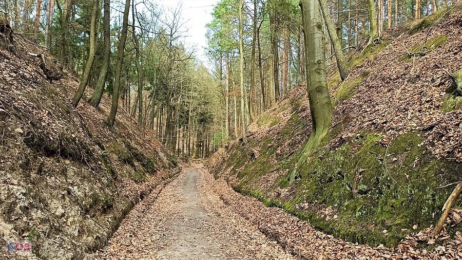 Rezerwat Annabrzeskie Wąwozy