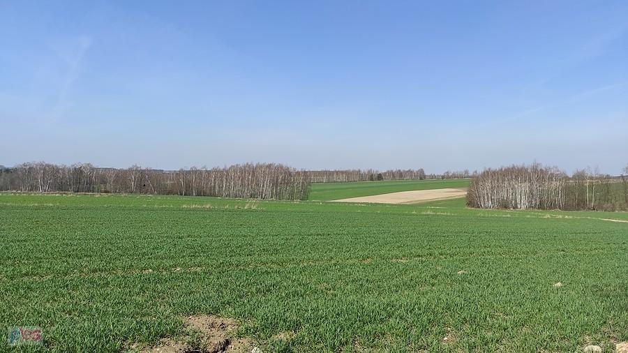 W okolicach Kołacinka