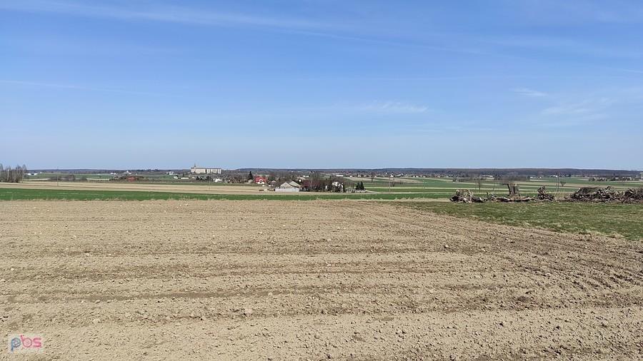Gdzieś na trasie. W oddali elewatory zbożowe w Rogowie