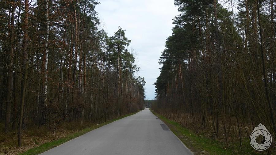 pustki lasów świętokrzyskich