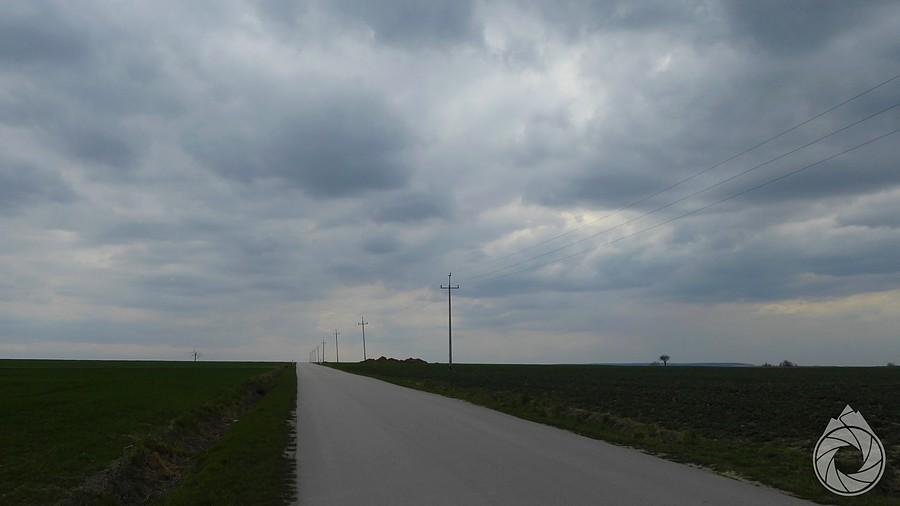 pustki warzyńskie