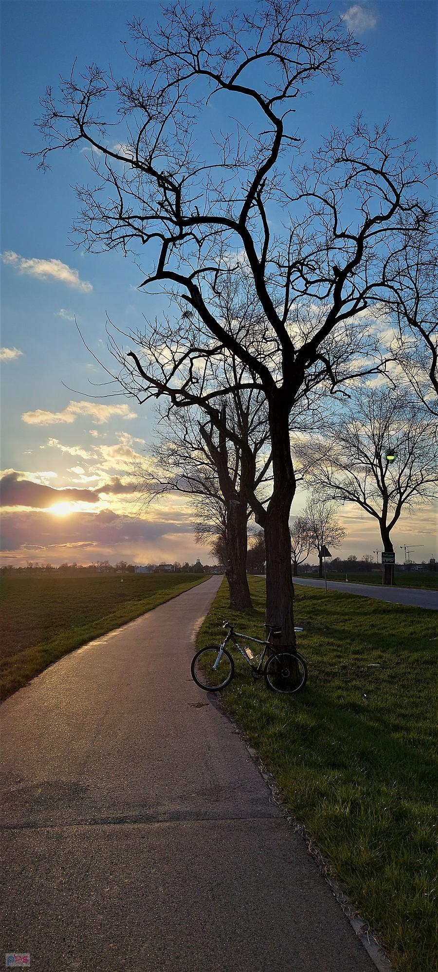 Bikefoto na ścieżce z Pełczyc do Kobierzyc