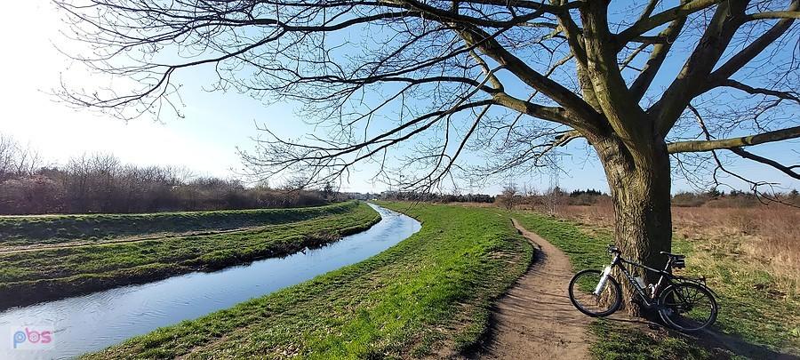 Bikefoto nad Ślęzą przy ulubionym drzewie