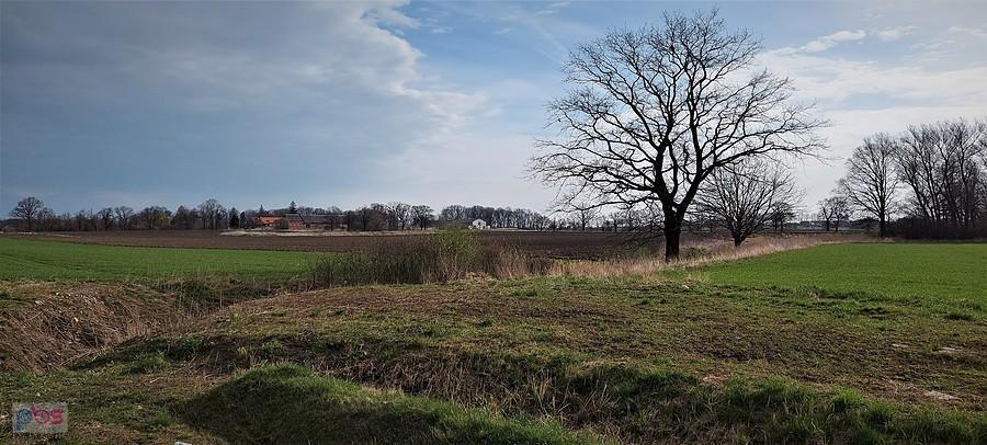 Nieco wczesnowiosennego klimatu z widokiem na Racławice