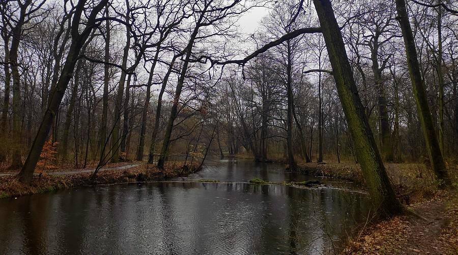 Na poznańskiej Dębinie wiosna jak się patrzy :/