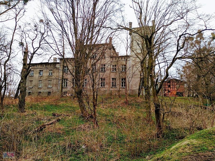 Pałac w Bogdankach