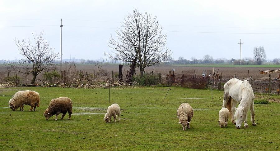 Paragórski klimacik w podpoznańskim Gowarzewie