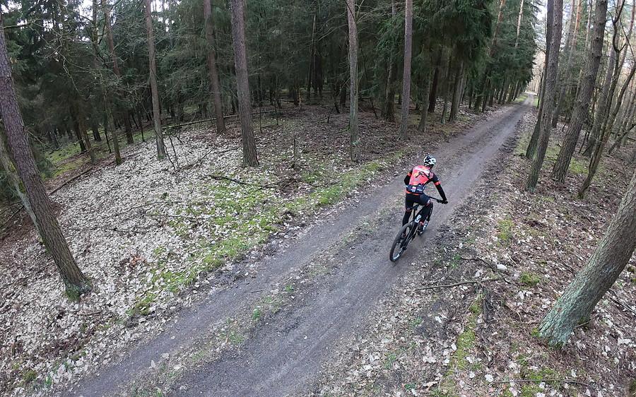 Klimacik w Puszczy Zielonce