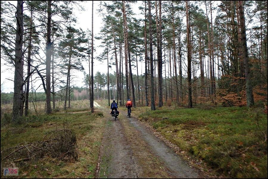 W drodze do Piławek