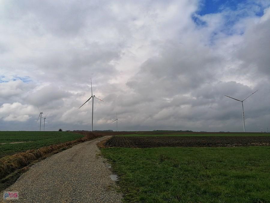 Farming energetyczny