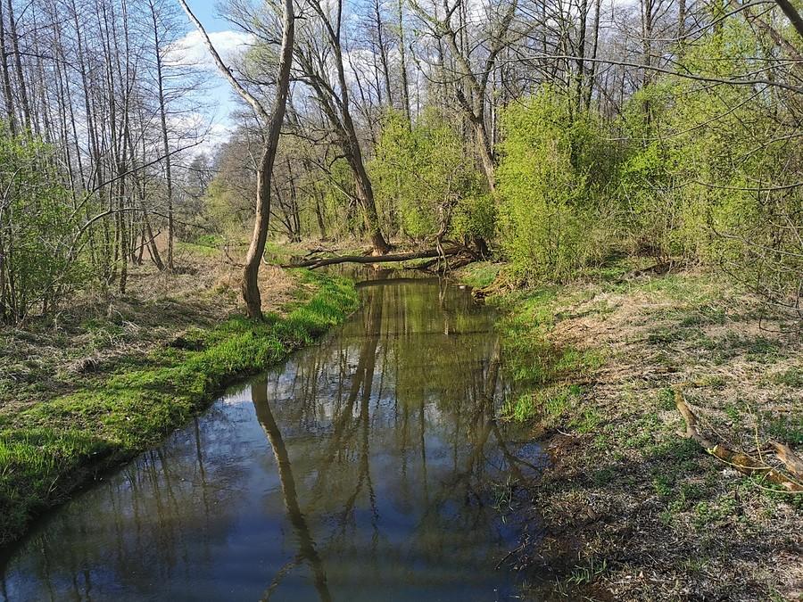 Wilanówka wiosną