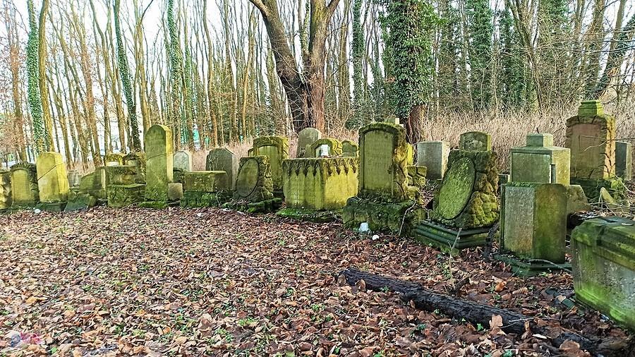 Lapidarium ewangelickie w Osiecznej