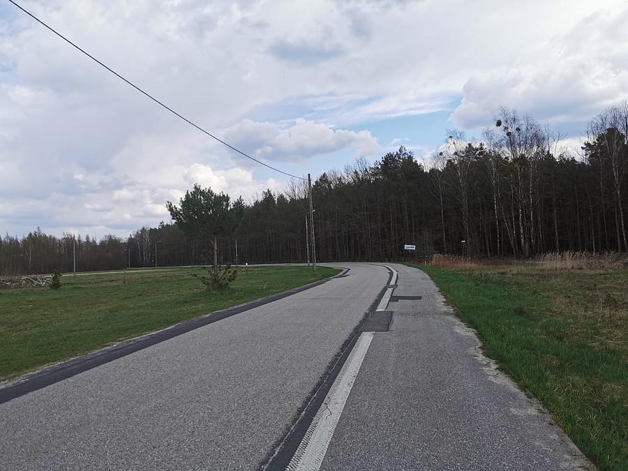 Przez Kampinos