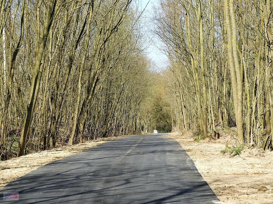 Droga Dobieszczyn - Stolec 6 km.