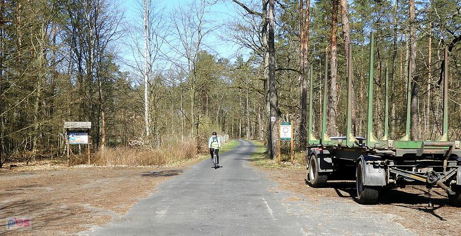 Kuba na leśnej drodze nr 14.