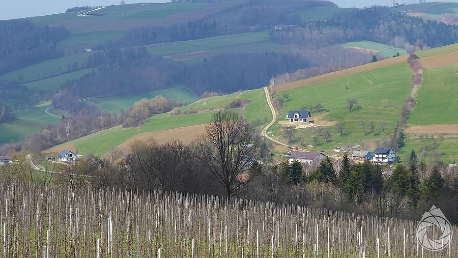 górki nad winnicami