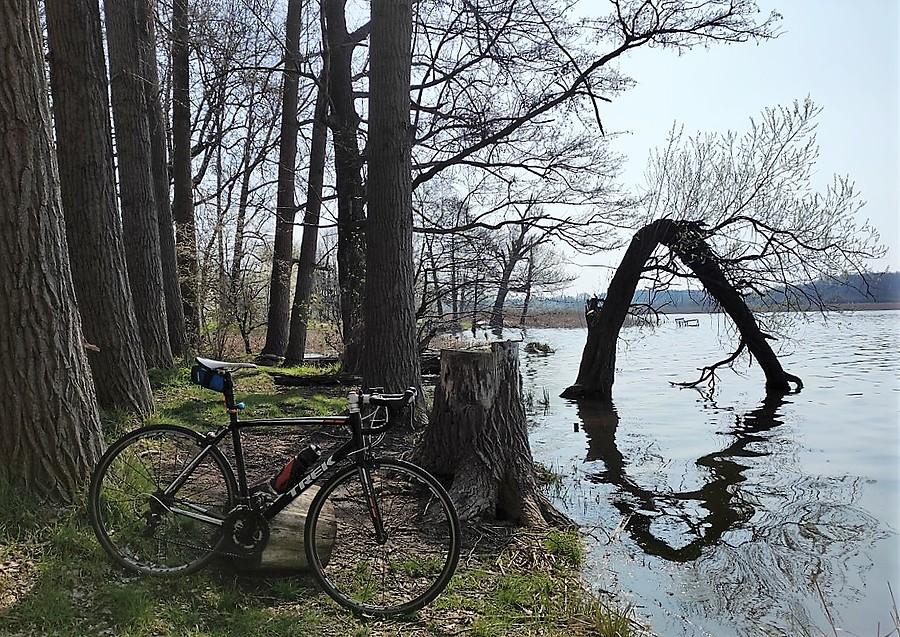 Klimatyczna część Jeziora Lusowskiego