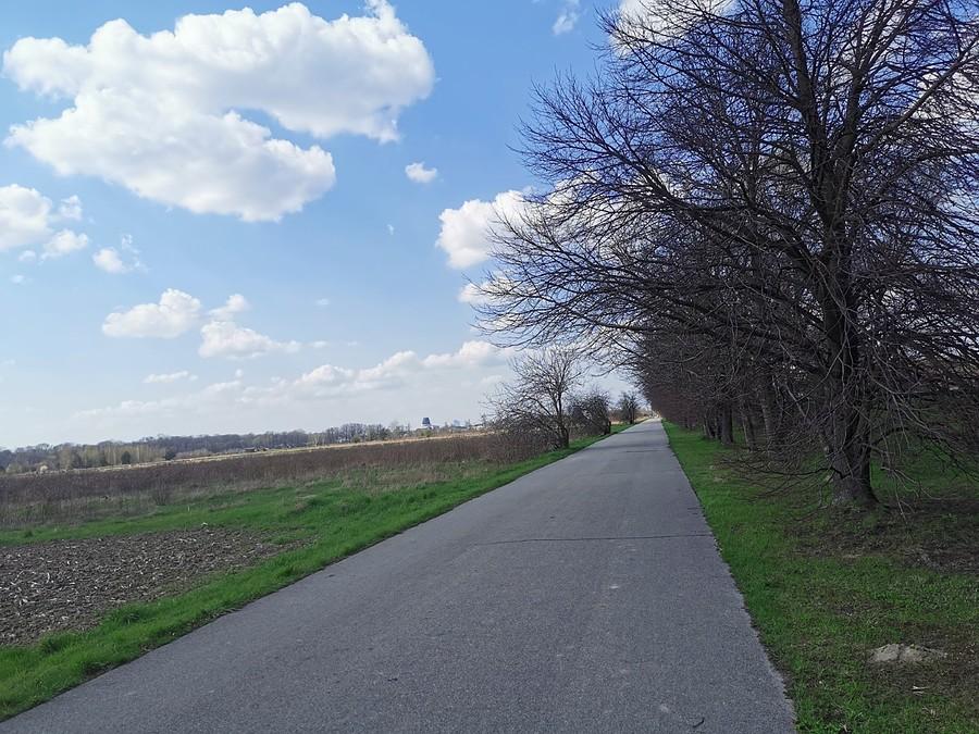 Powsin - Wilanów