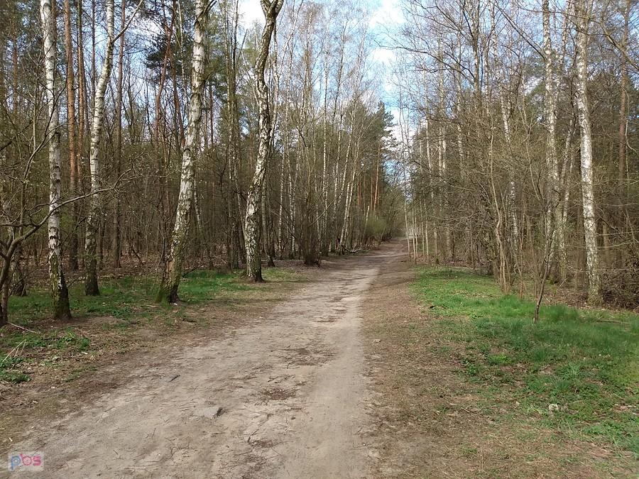 Początkowo było tak