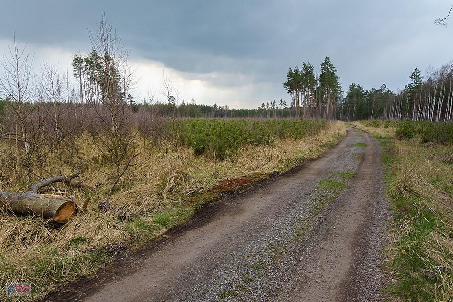 Droga pożarowa pomiędzy Częstochową i Porajem na wysokości miejscowości Zawodzie, w oddali leje