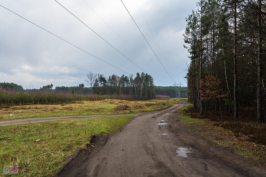 Droga leśna na przedłużeniu ul. Kosmicznej w Poraju