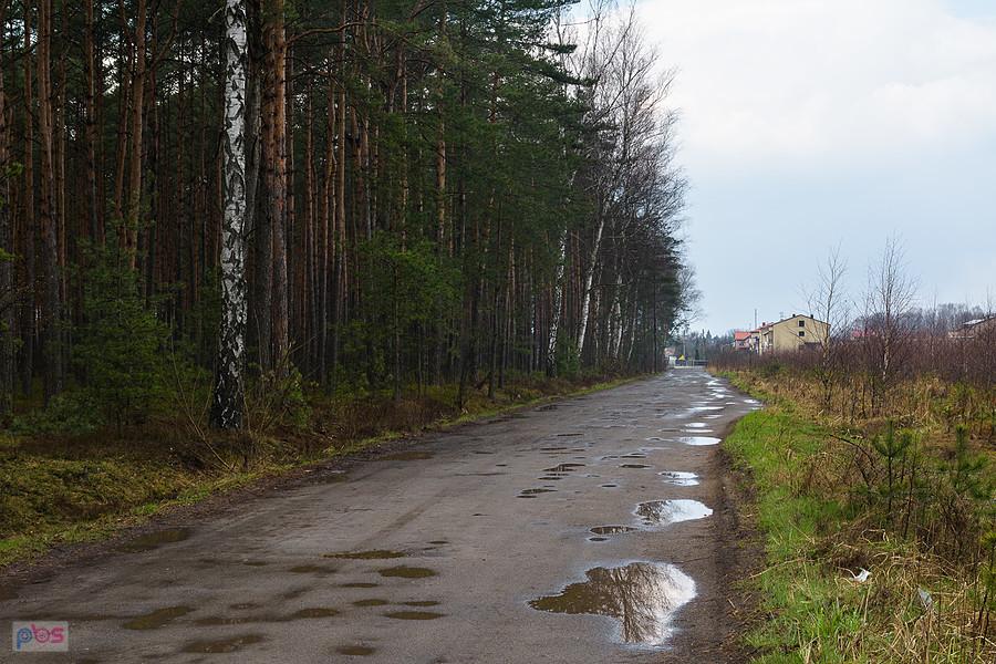 Przedłużenie ul Zielonej - Poraj, ujęcie za plecami