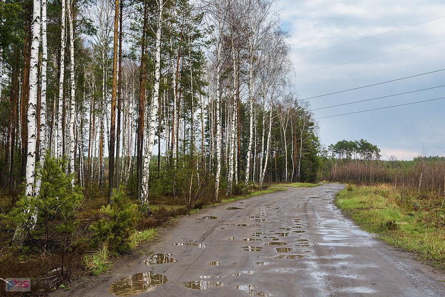 Przedłużenie ulicy Kosmicznej w Poraju - widok za moimi plecami