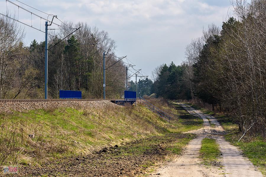 Centralna Magistrala Kolejowa w myszkowskiej dzielnicy Mrzygłód, widok w kierunku Zawiercia