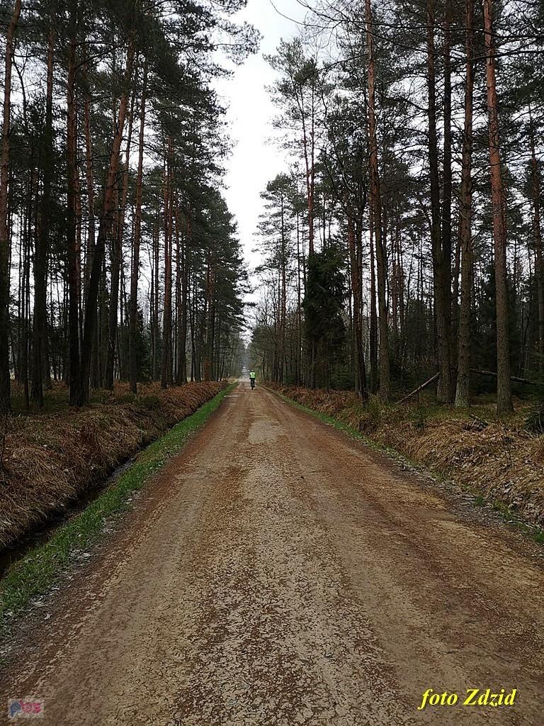 Puszcza Dulowska
