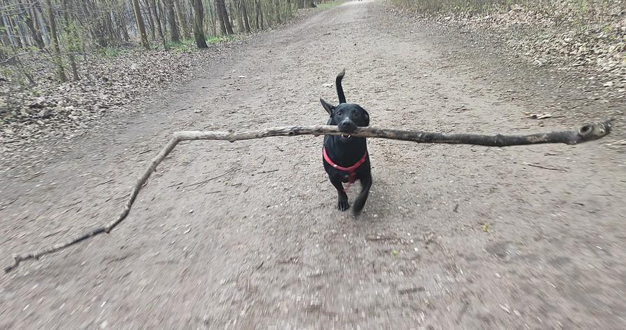 Próba zmieszczenia się w kadrze :)
