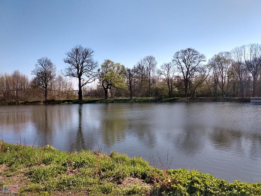 Staw w Ołtarzewie