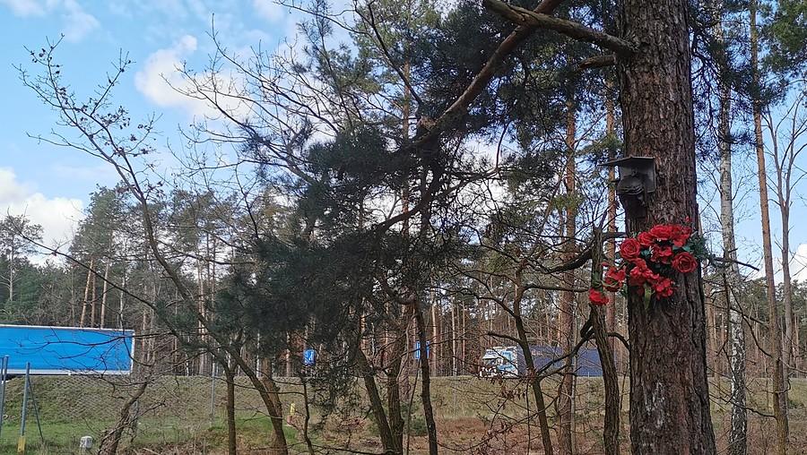 Do trzech razy sztuka - kwadrat w Żyrardowie w pobliżu DK 50