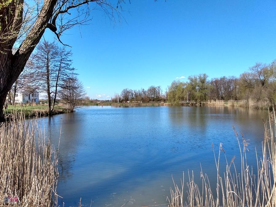 Staw w Zielonkach