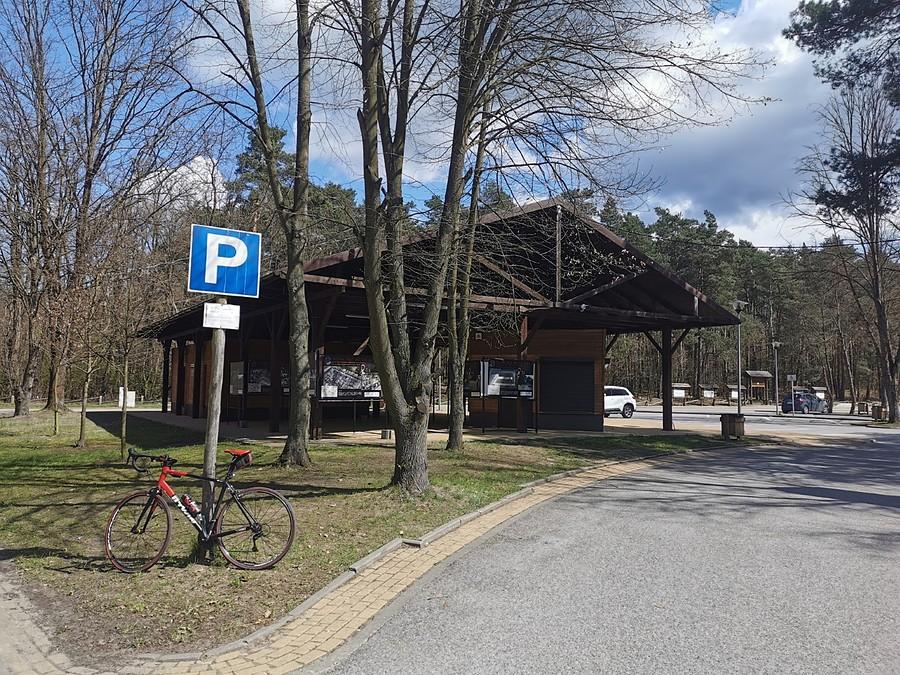 Parking leśny