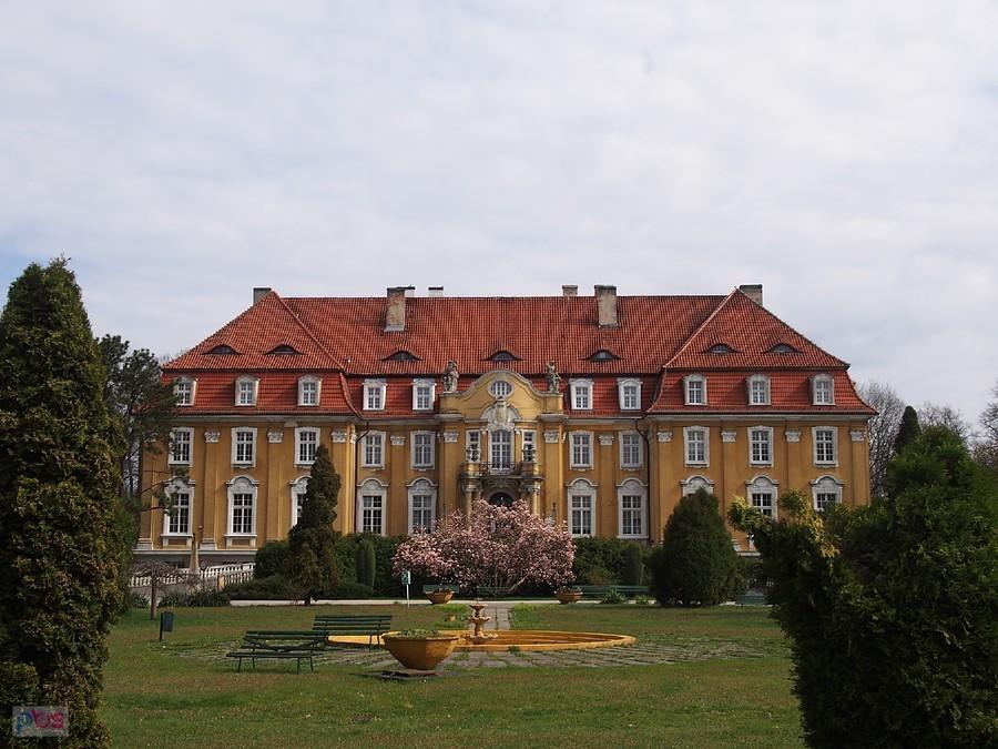 Pałac w Kochcicach