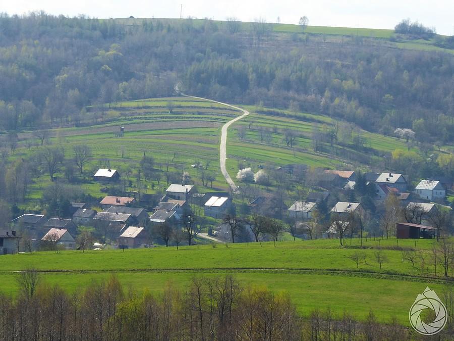 jakaś droga w las koło Jastewa