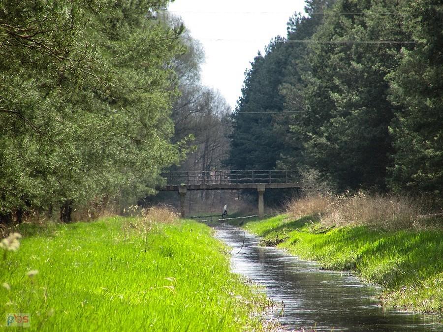 Mostek nad Czarną w Czachówku