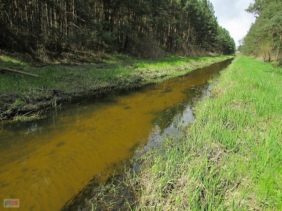 Rzeczka Czarna