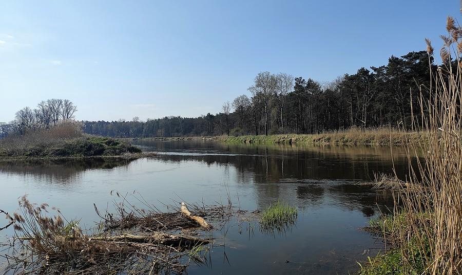 Spokojna Warta w Radzewicach