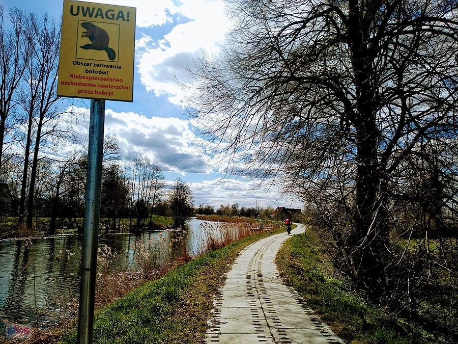 Na szlaku