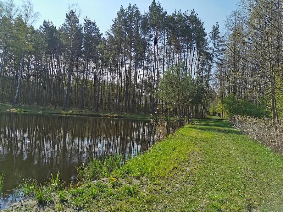 Prowadzi tu, a to teren prywatny!