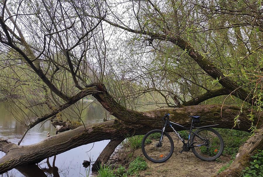 Krótki wypad na MTB nad Wartę