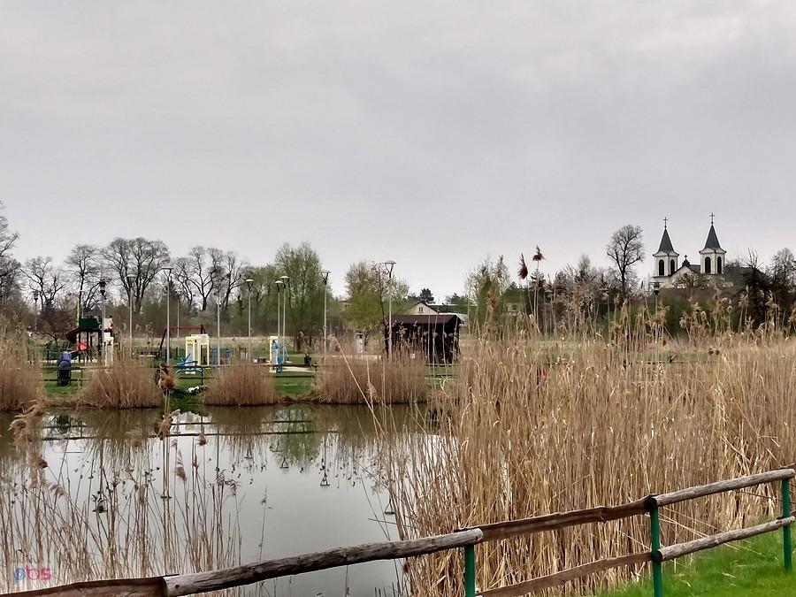 Staw w Borzęcinie