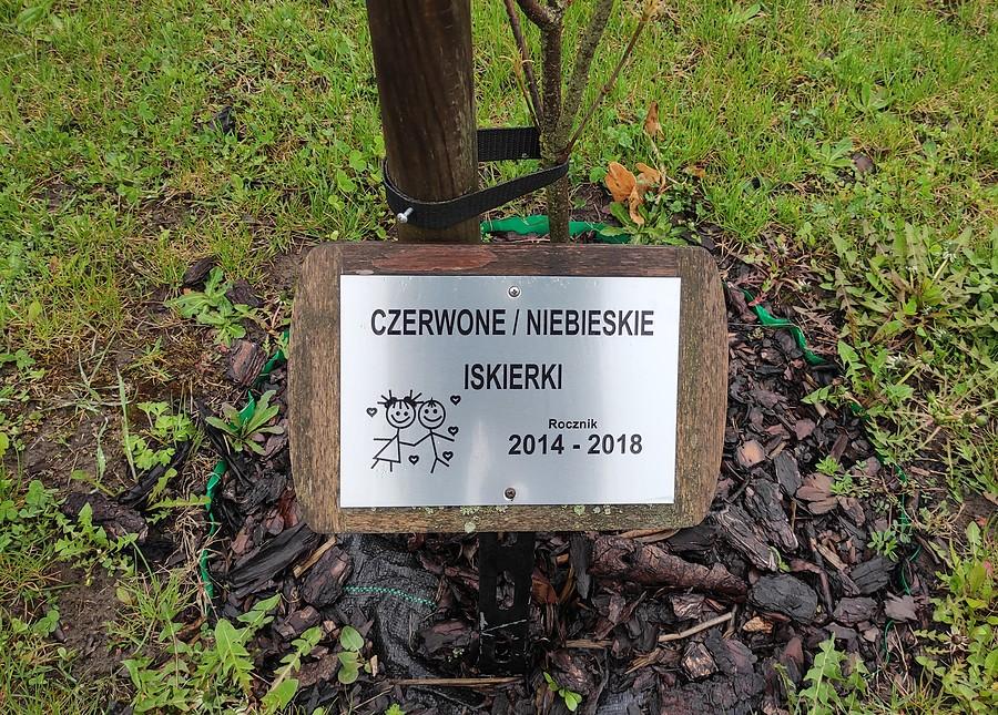 Ładne barwy i ładna inicjatywa