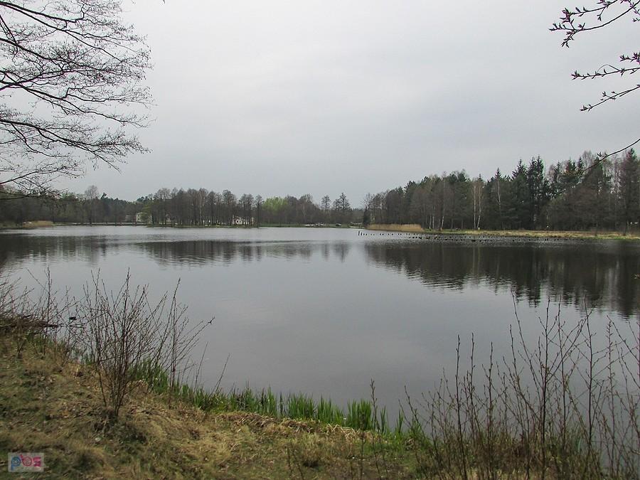Staw w Czarnej