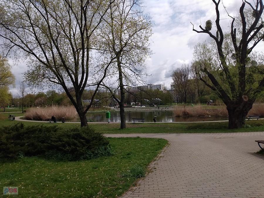 Staw w parku Szymańskiego