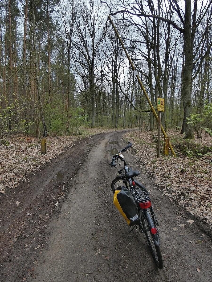Wjeżdżam na teren szkółki leśnej Ośno Lubuskie, szlaban otwarty